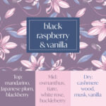 Black Raspberry Vanilla